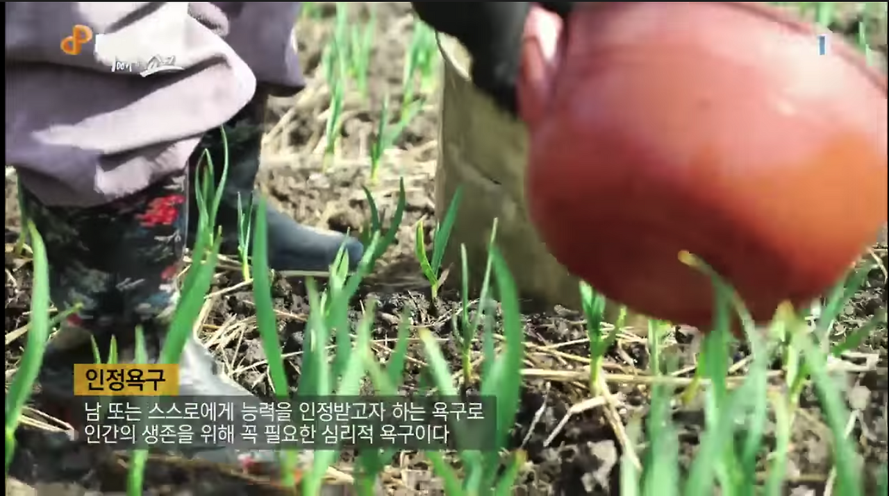 Screen Shot 2021-11-21 at 4.46.15 PM.png