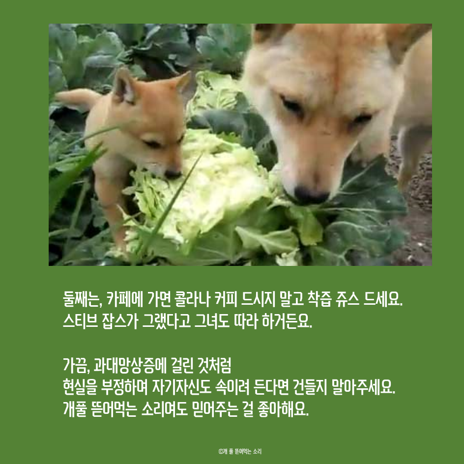 KakaoTalk_20190520_163443538_03.png