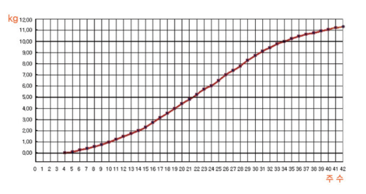 스크린샷 2021-09-02 오후 3.45.38.png