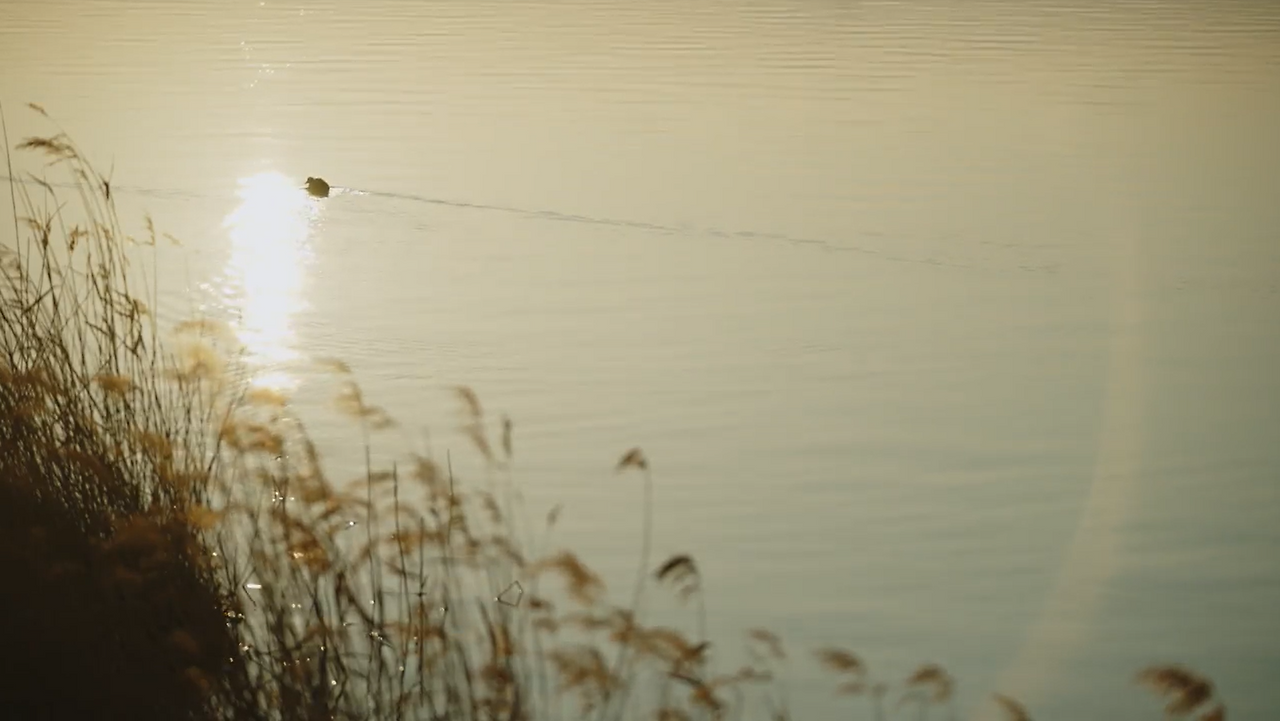 일로오션 소도시 홍보영상 해변편 캡쳐 (5).png