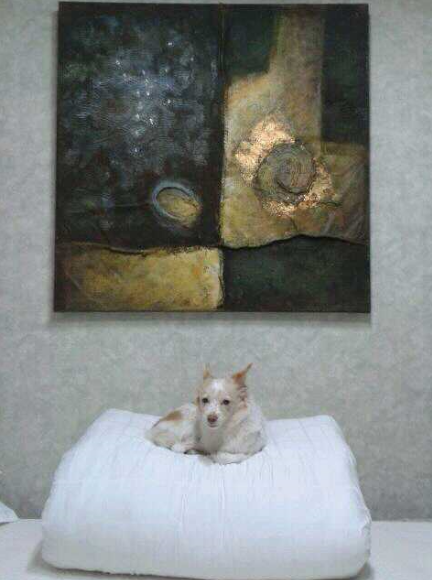 화면 캡처 2025-08-07 105303.png