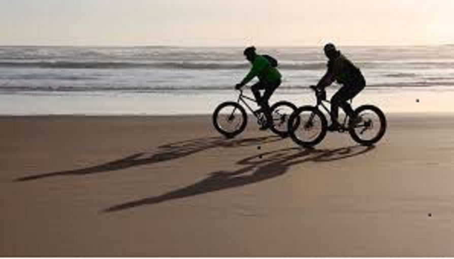 자전거 타기-1.png