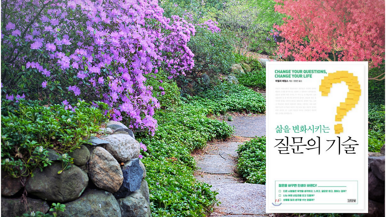 제목 없는 디자인 (19).png