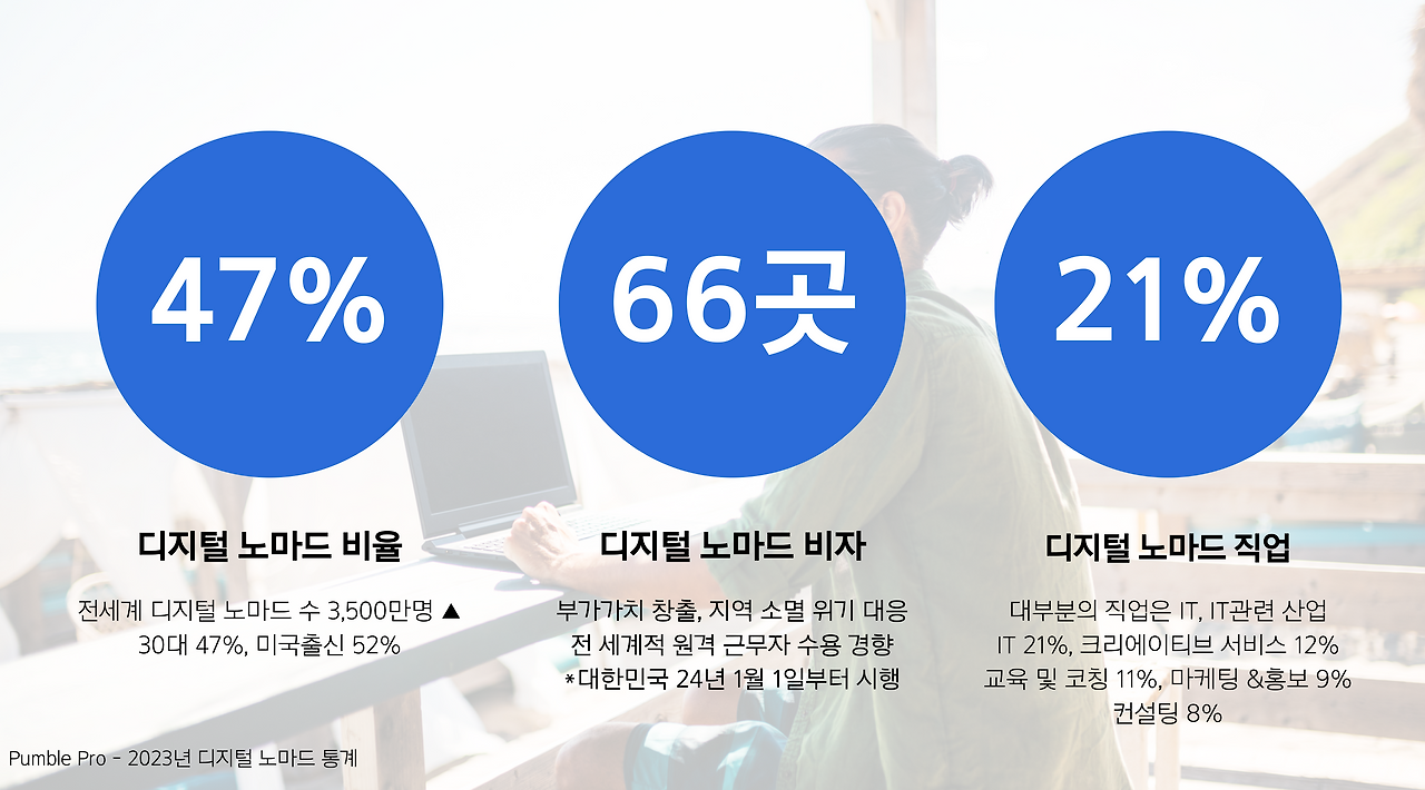 디지털 노마드 세계 통계.png