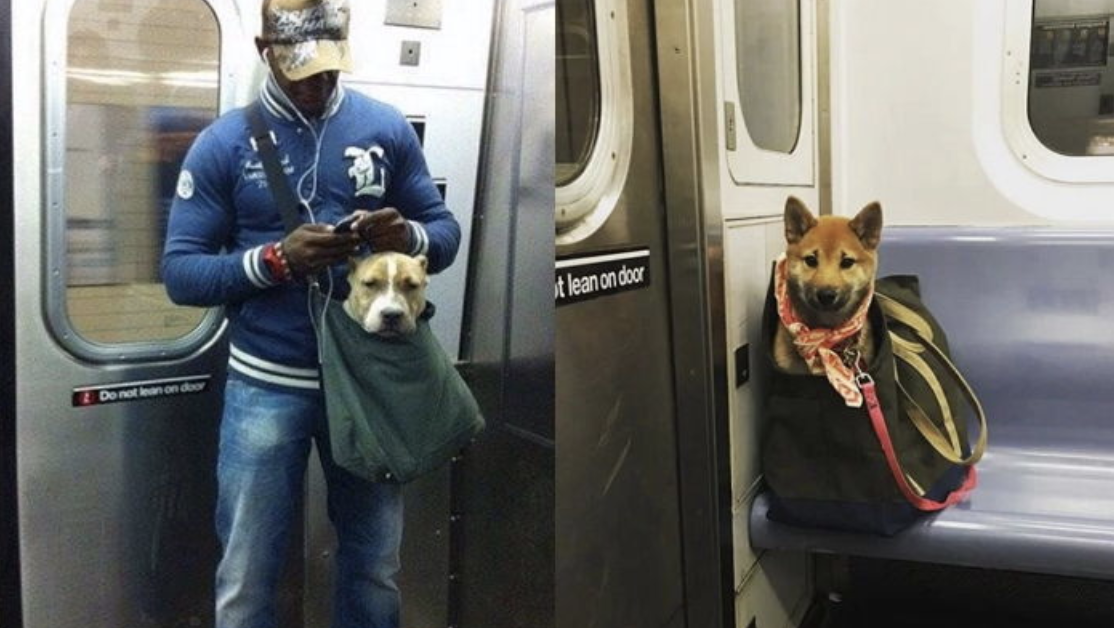 스크린샷 2022-10-20 오후 1.49.36.png