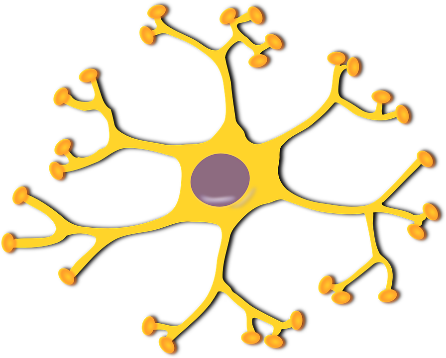 nerve-cell-145909_960_720.png