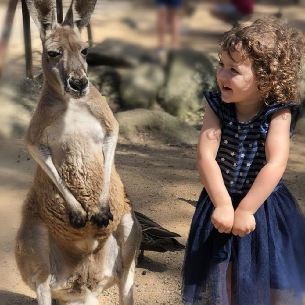 ool10201t_1000-1000 (41).png