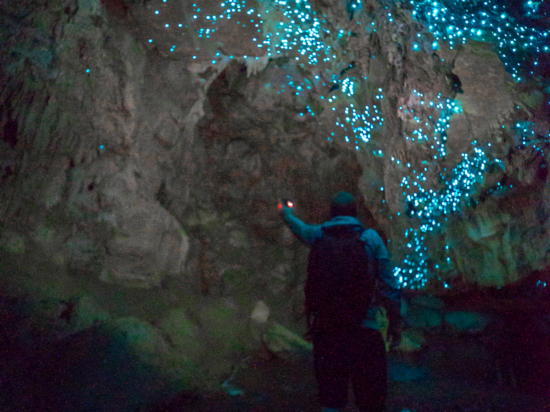 ool11107s_800-600 (19).png