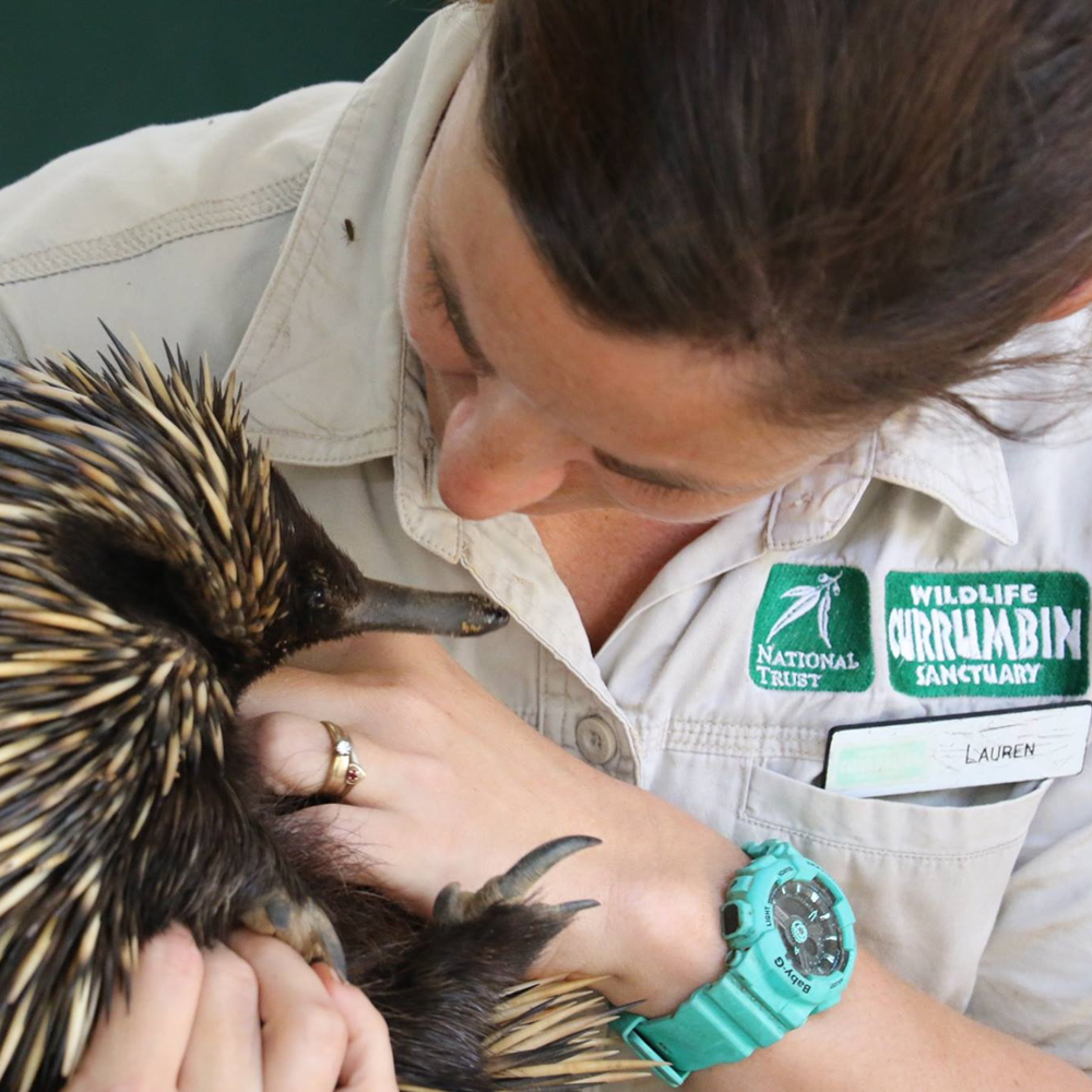 ool10201t_1000-1000 (12).png