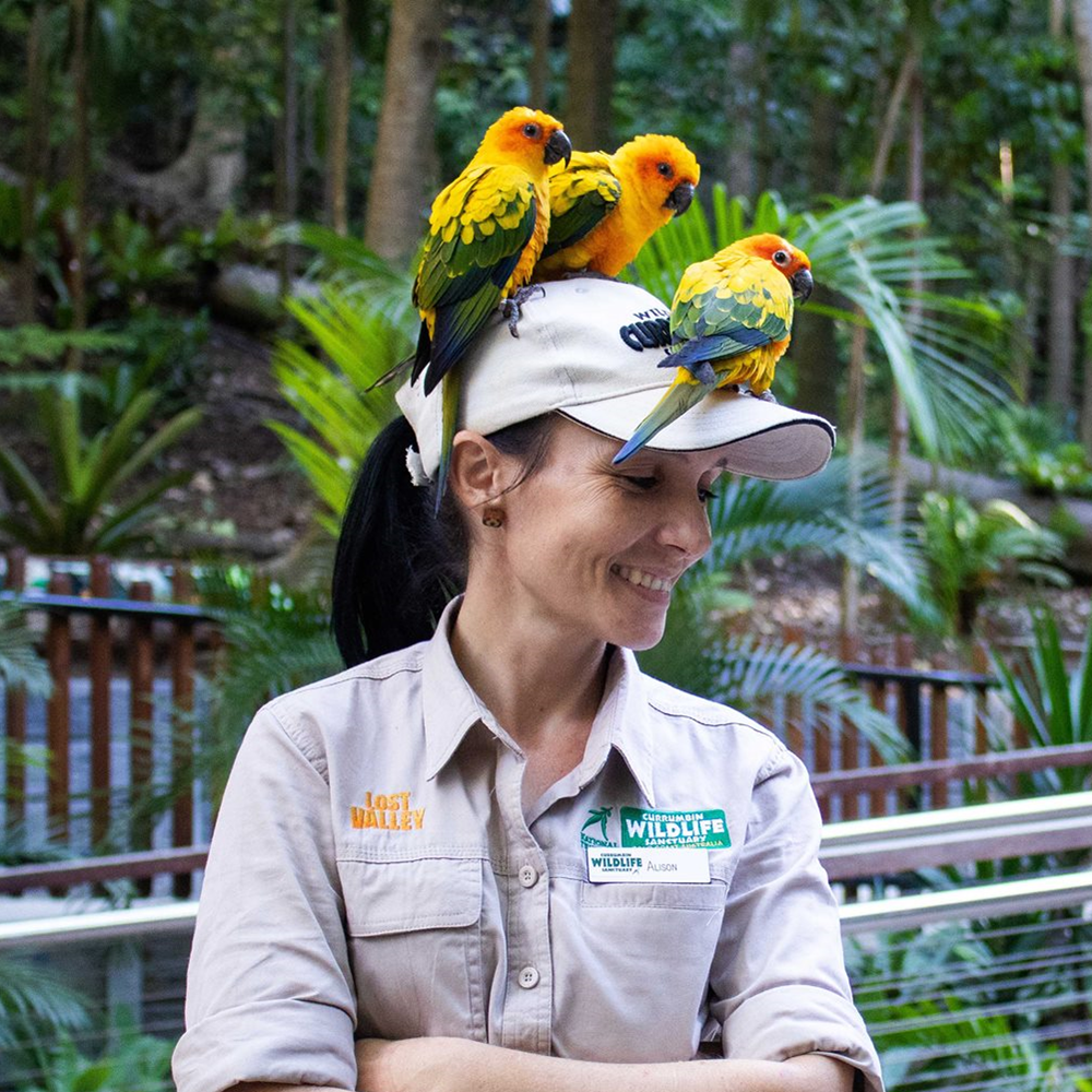 ool10201t_1000-1000 (22).png