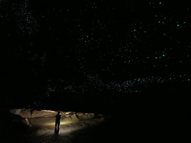 ool11107s_800-600 (6).png