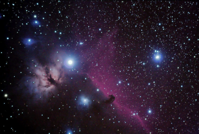 골드코스트반딧불투어 (1).png