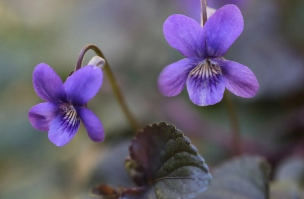 스크린샷 2023-03-17 162240.png