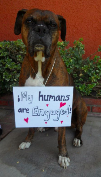 Screen Shot 2018-03-28 at 12.38.12 AM.png