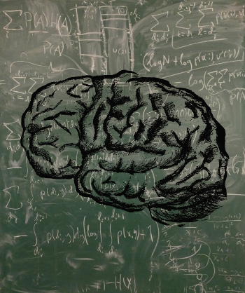 brain_cogsci_math-863x1030.png