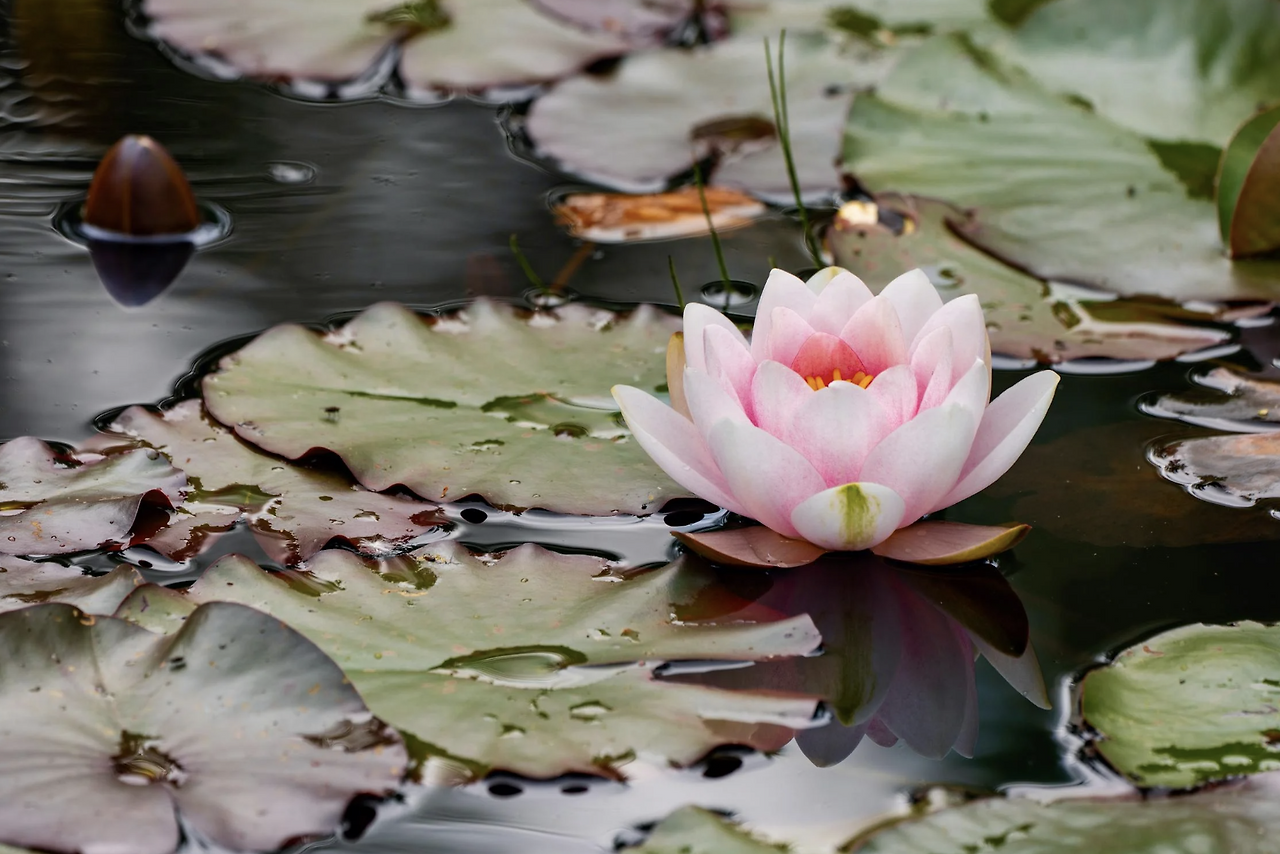 스크린샷 2025-06-28 오전 12.32.08.png