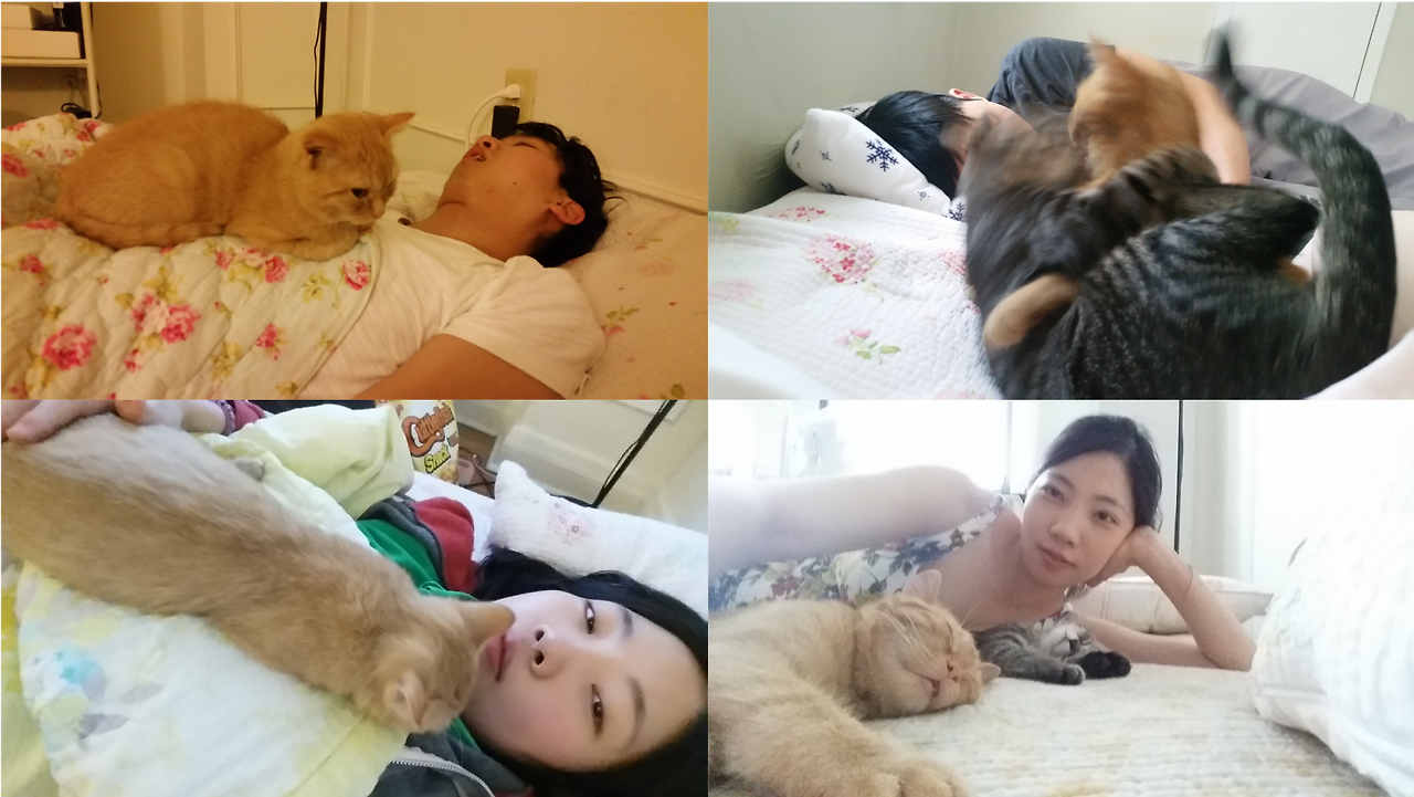 sleeping with cats.png