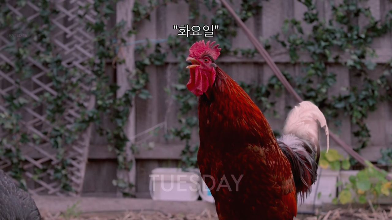 Screenshot 2019-08-21 at 6.32.54 PM.png