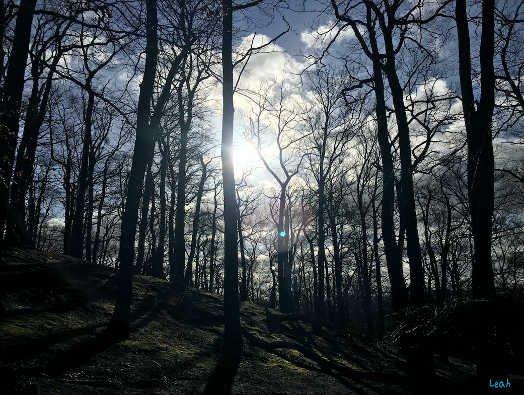 Screenshot 2022-01-20 at 16.05.17.png