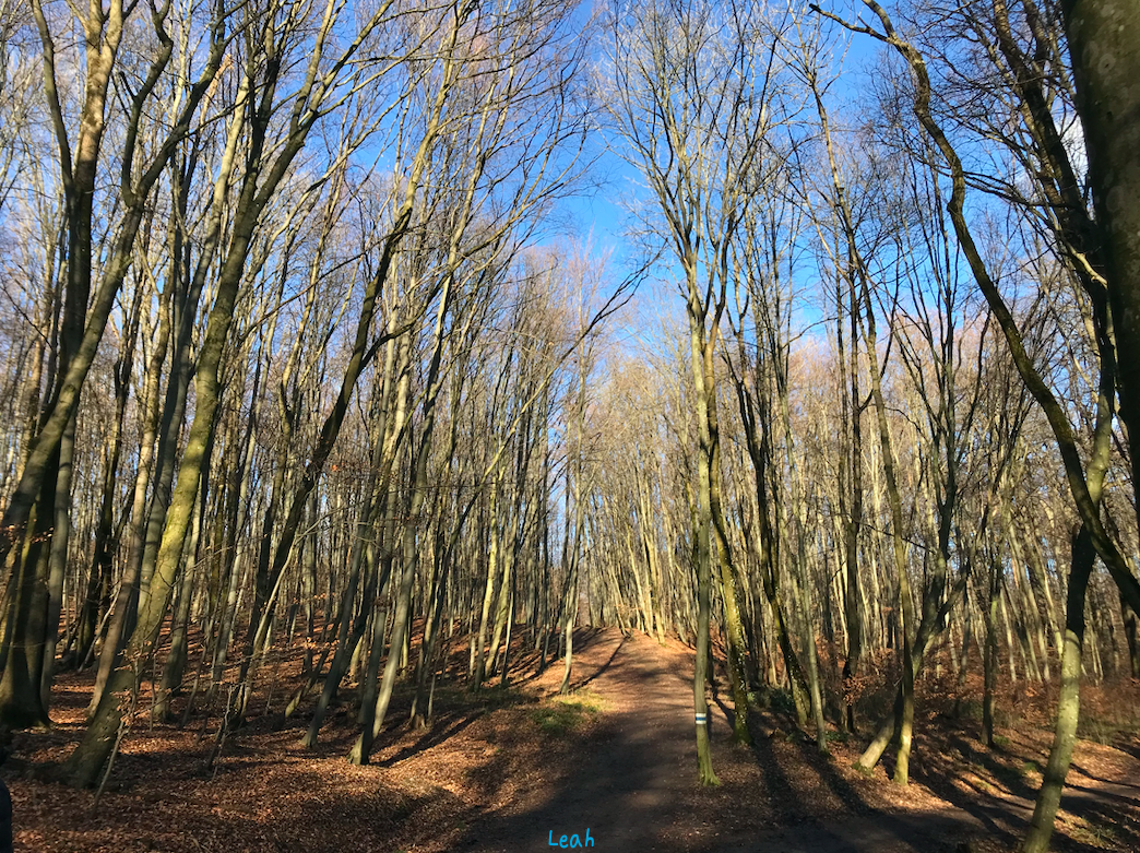 Screenshot 2022-01-20 at 16.06.03.png