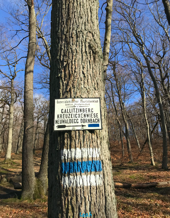 Screenshot 2022-01-20 at 16.05.46.png