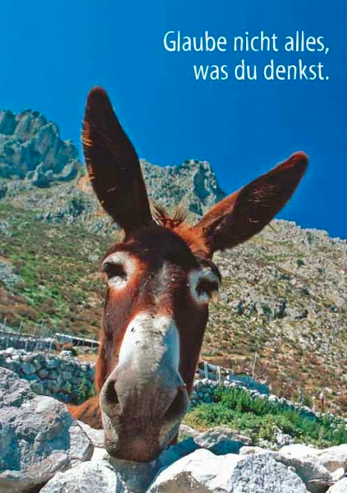 Bildschirmfoto 2018-10-09 um 09.31.01.png