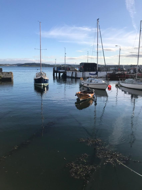 아일랜드 항구 코브.png