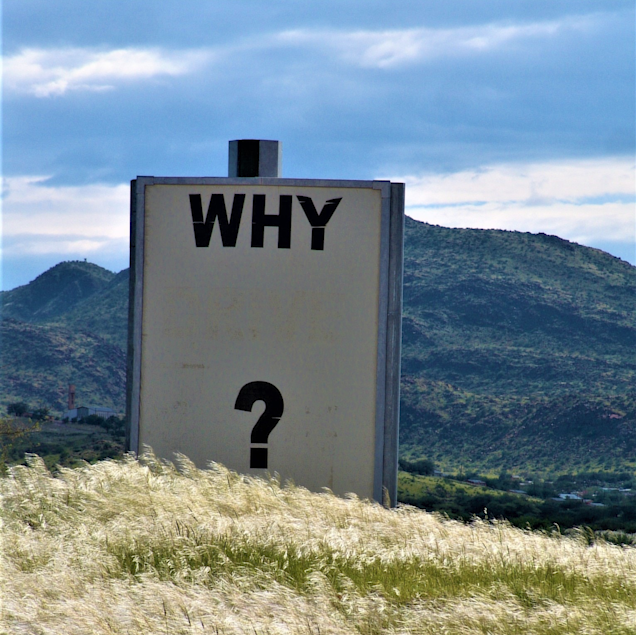 why.png