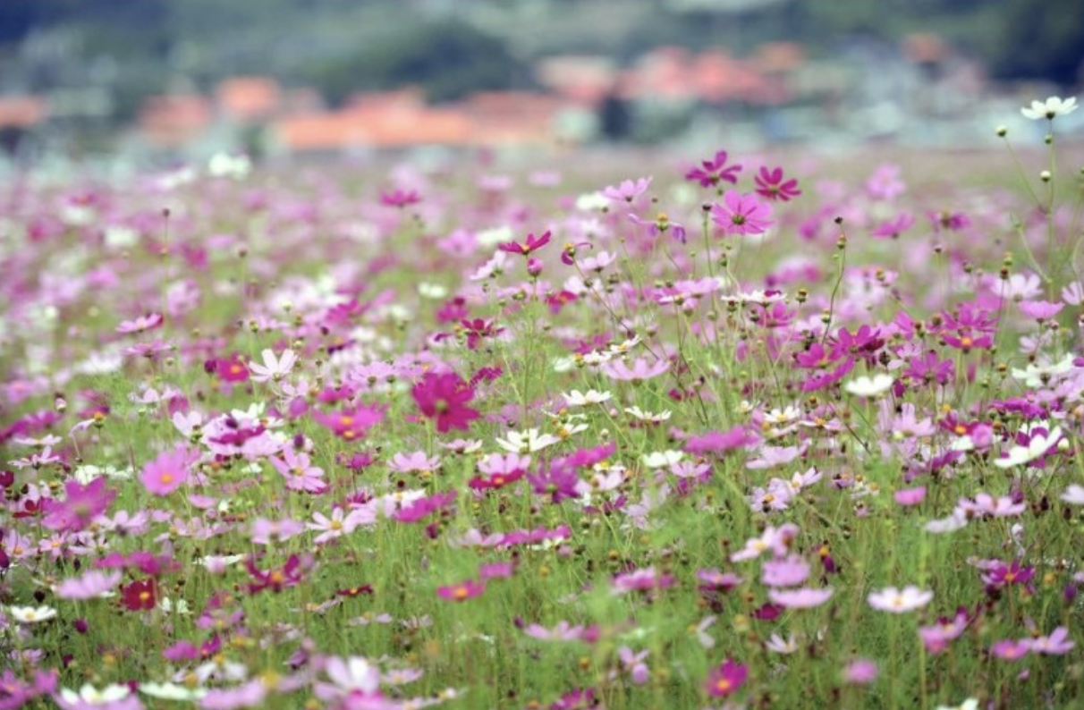 스크린샷 2020-09-20 오후 8.30.10.png