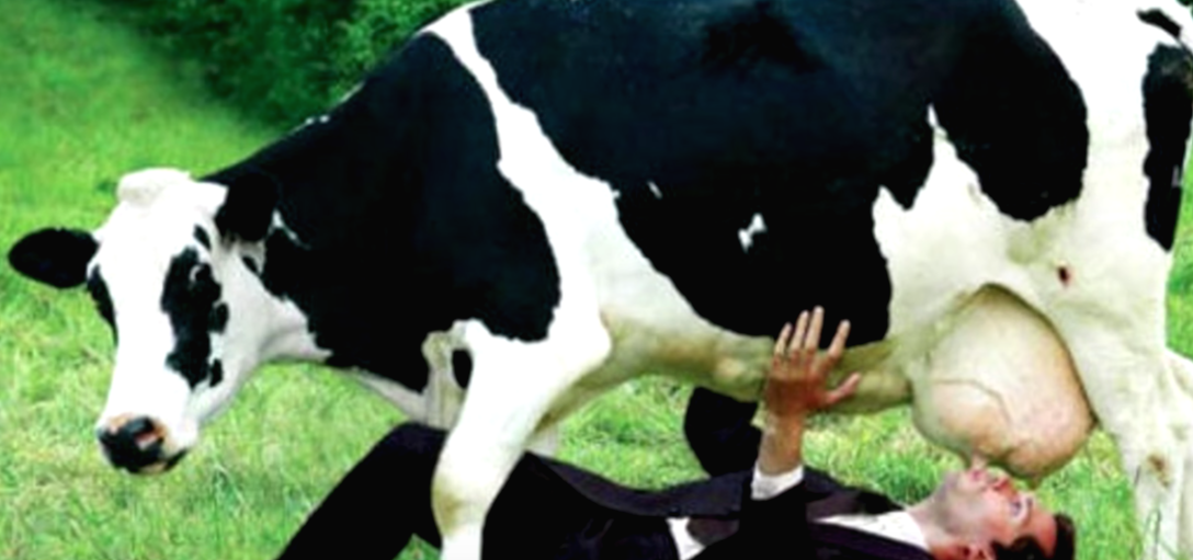 스크린샷 2018-05-27 오후 11.13.03.png