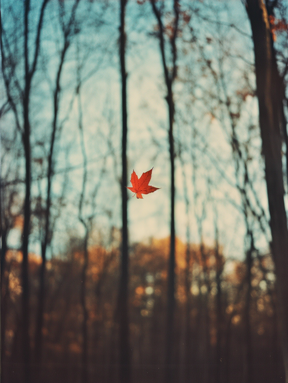 wowzoa0246_A_photograph_of_an_autumn_maple_leaf_falling_in_the__a61a571e-b250-41c6-afa3-cc718a6d6a3a.png