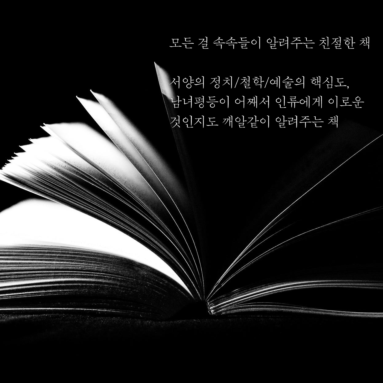 여성의종속_타깃홍보6.png