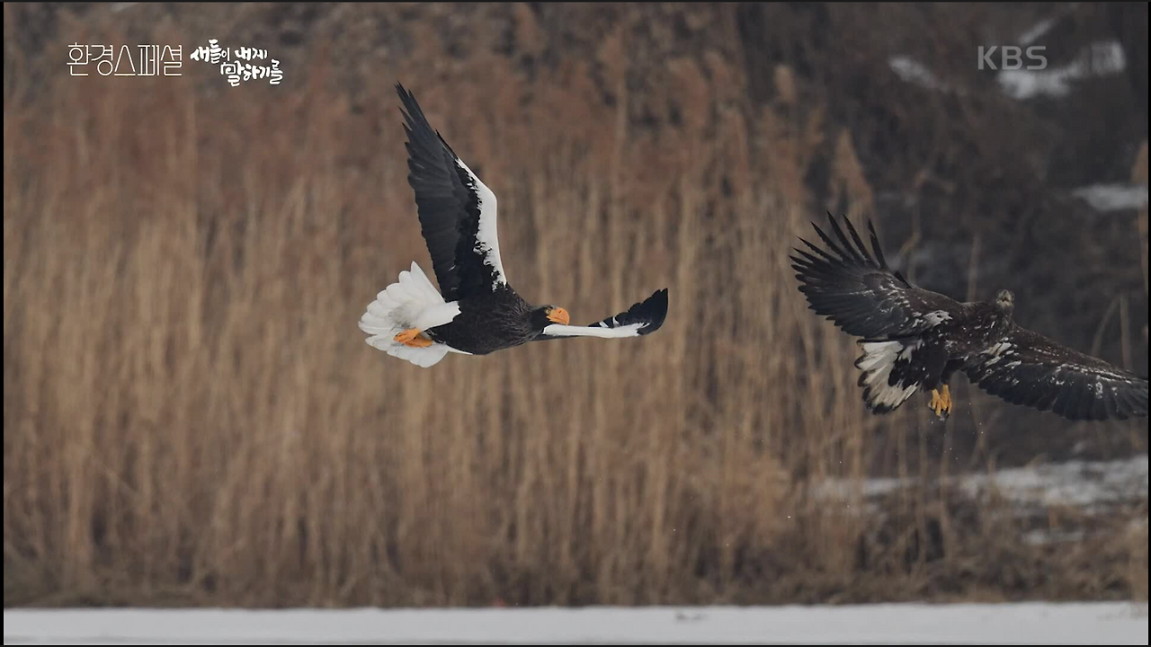 스크린샷 2022-02-19 오후 9.58.10.png