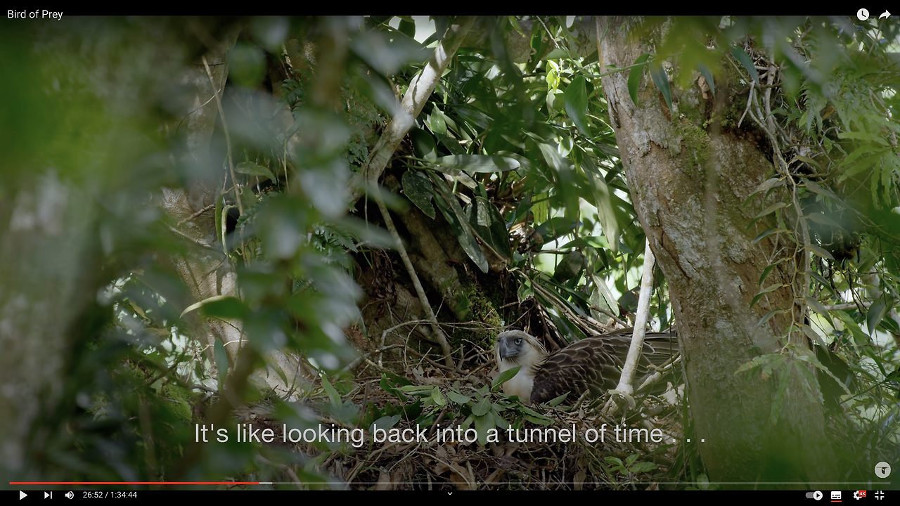 스크린샷 2022-09-27 오후 2.11.24.png