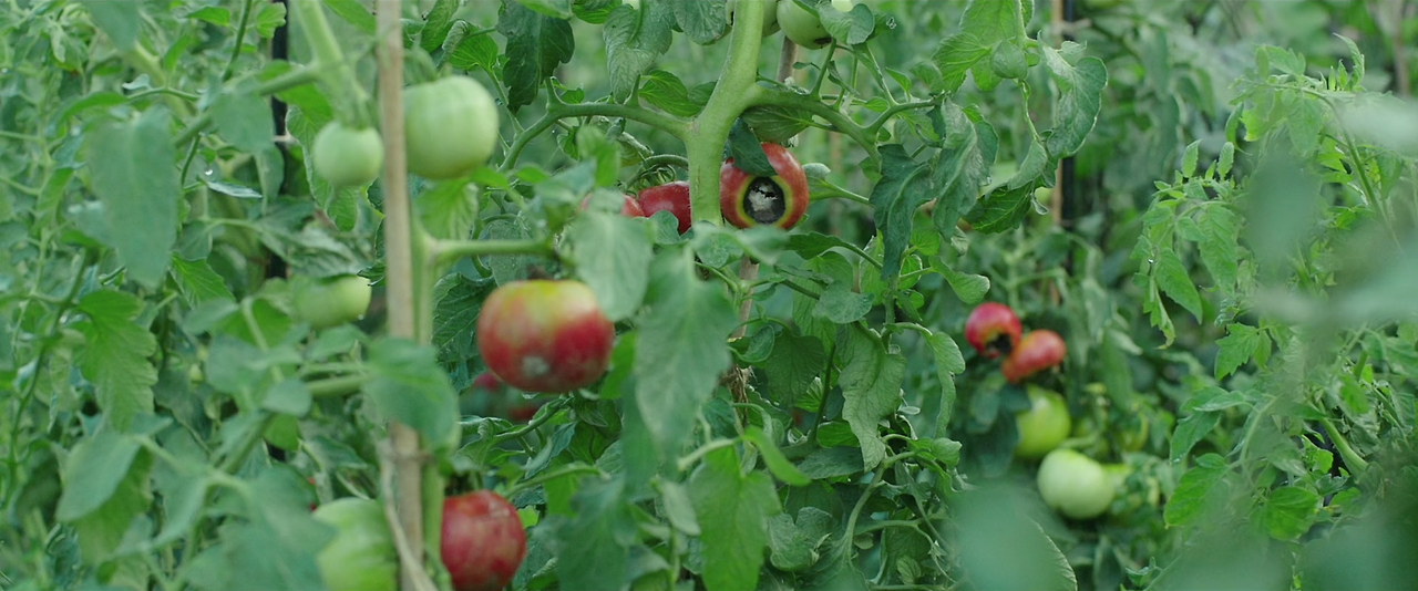 스크린샷 2018-04-09 오전 11.00.31.png