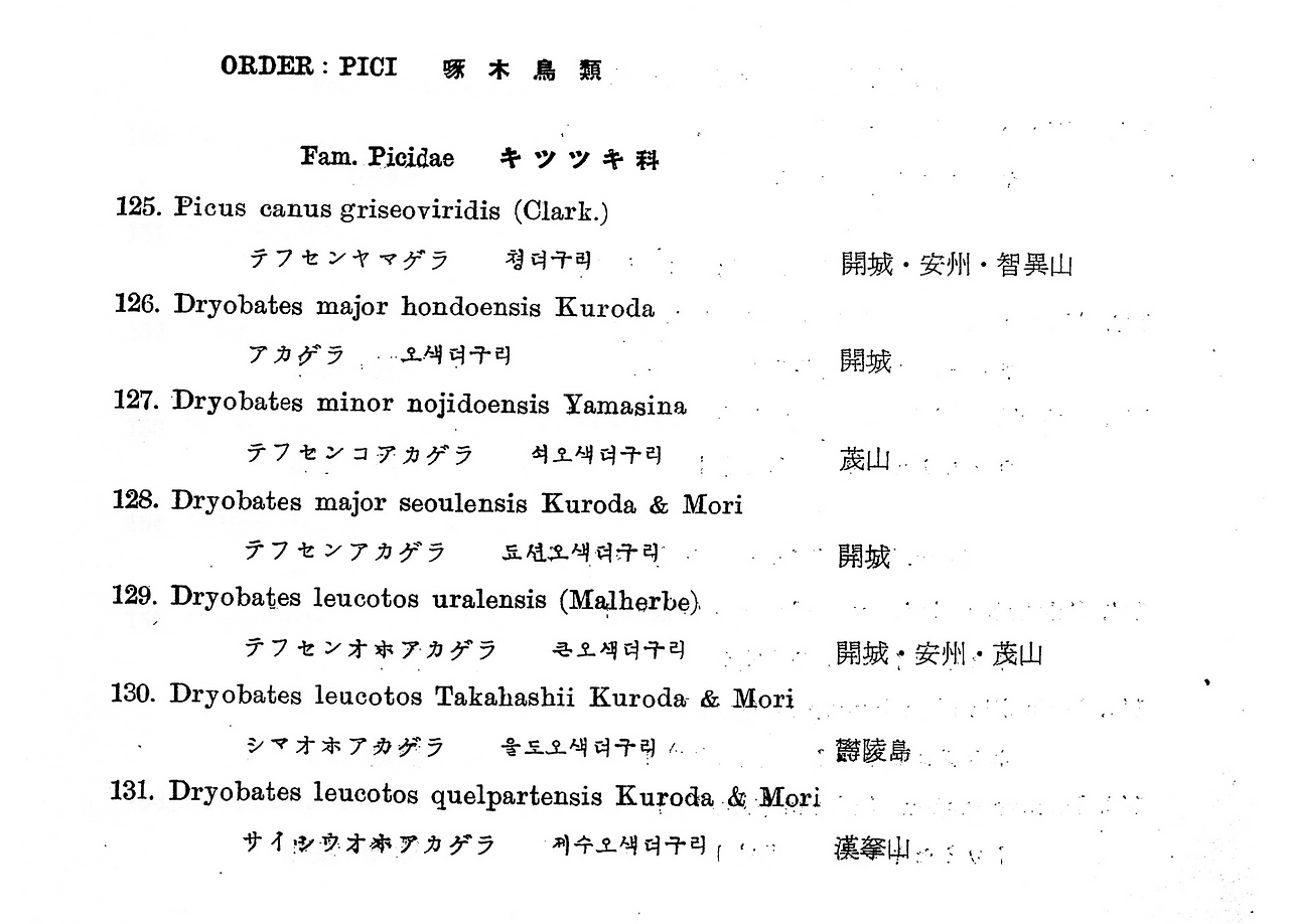 스크린샷 2022-10-23 오후 8.26.30.png