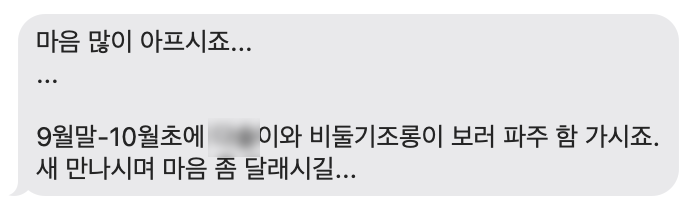 스크린샷 2022-10-09 오전 8.31.28.png