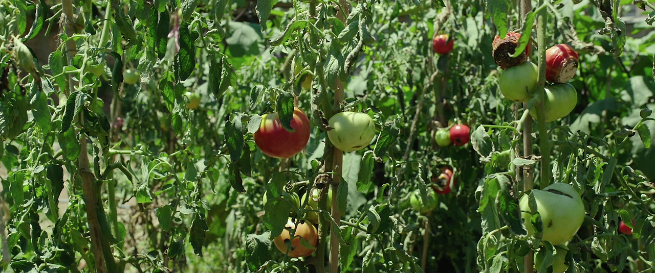 스크린샷 2018-04-09 오전 11.00.50.png