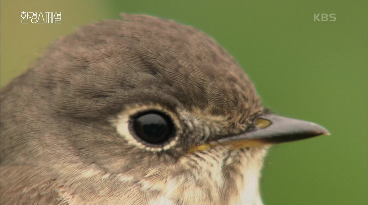 스크린샷 2022-02-12 오후 10.03.35.png