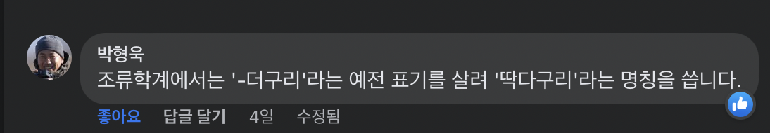 스크린샷 2022-10-17 오전 10.04.15.png