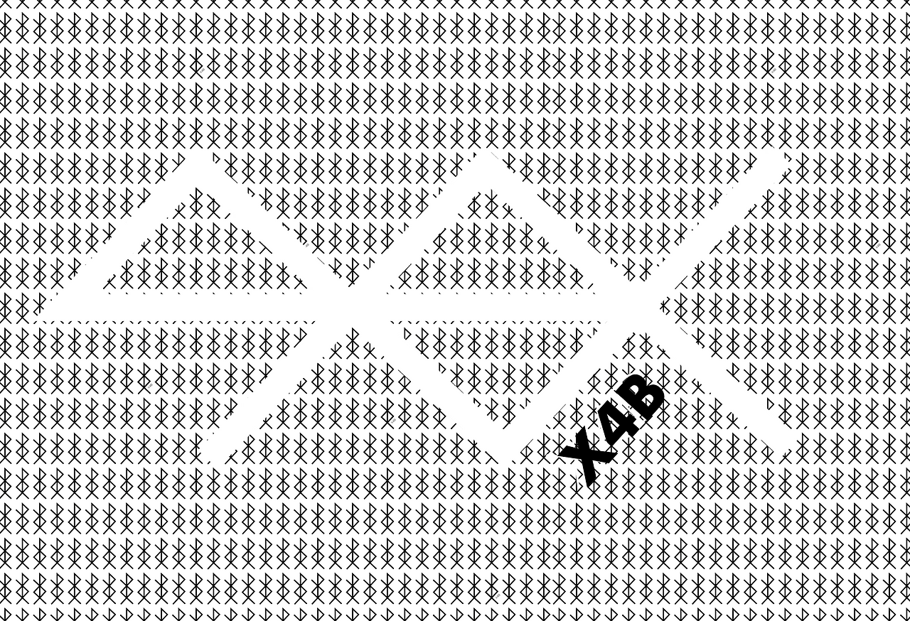 X4B 로고 이미지 첫 캡쳐 .png