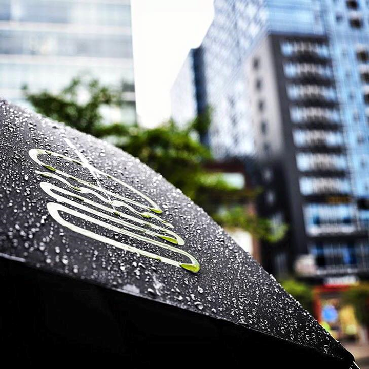 쉐이크쉑 우산.png