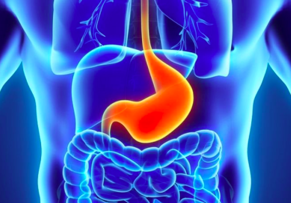 스크린샷 2018-05-27 오후 8.24.48.png