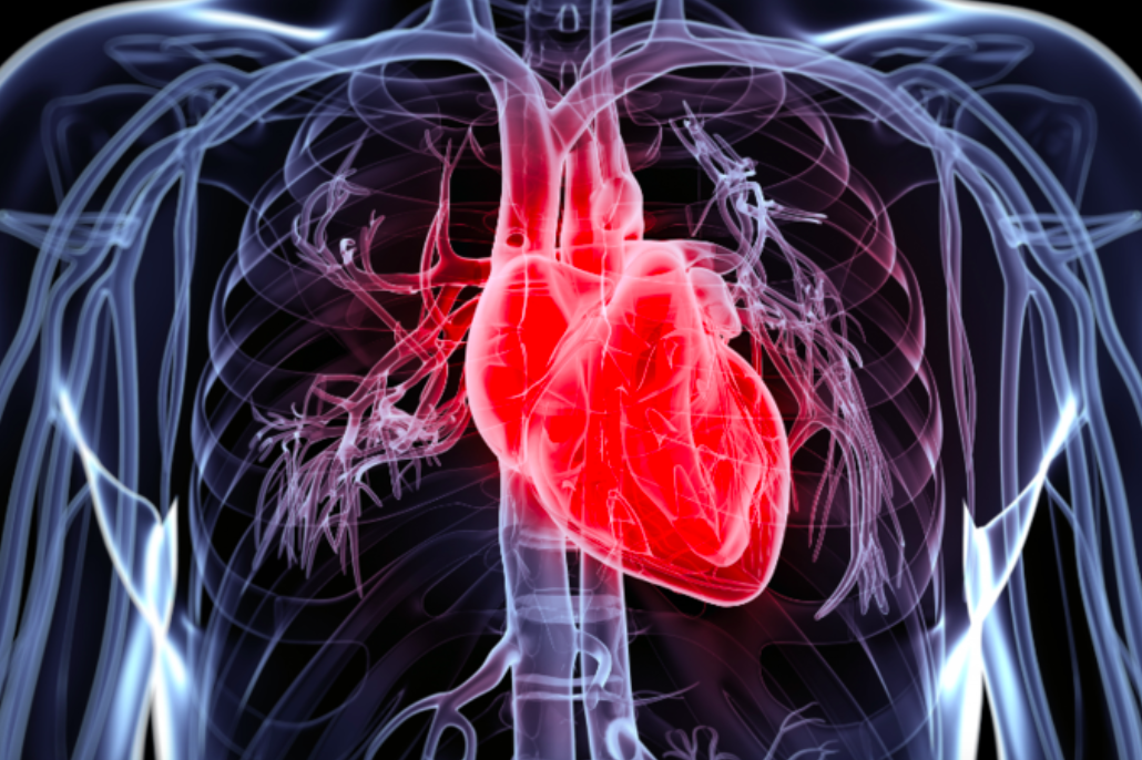 스크린샷 2018-05-27 오후 8.22.54.png