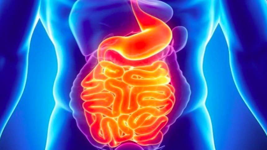 스크린샷 2018-05-28 오전 11.50.45.png