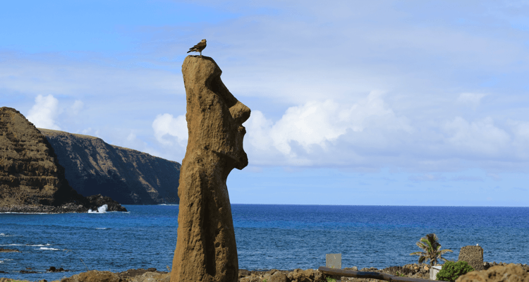 blog-post_post-image_moai-island_moai-compressor.png
