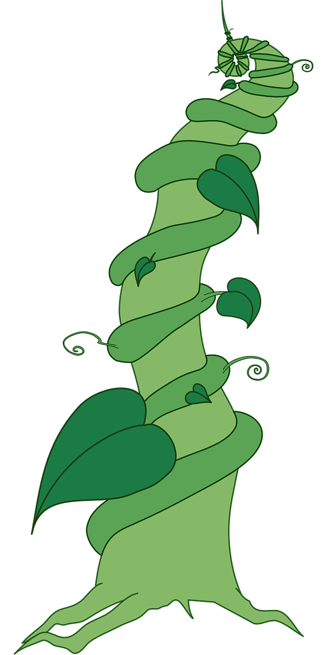 beanstalk-307352_1280콩나무.png