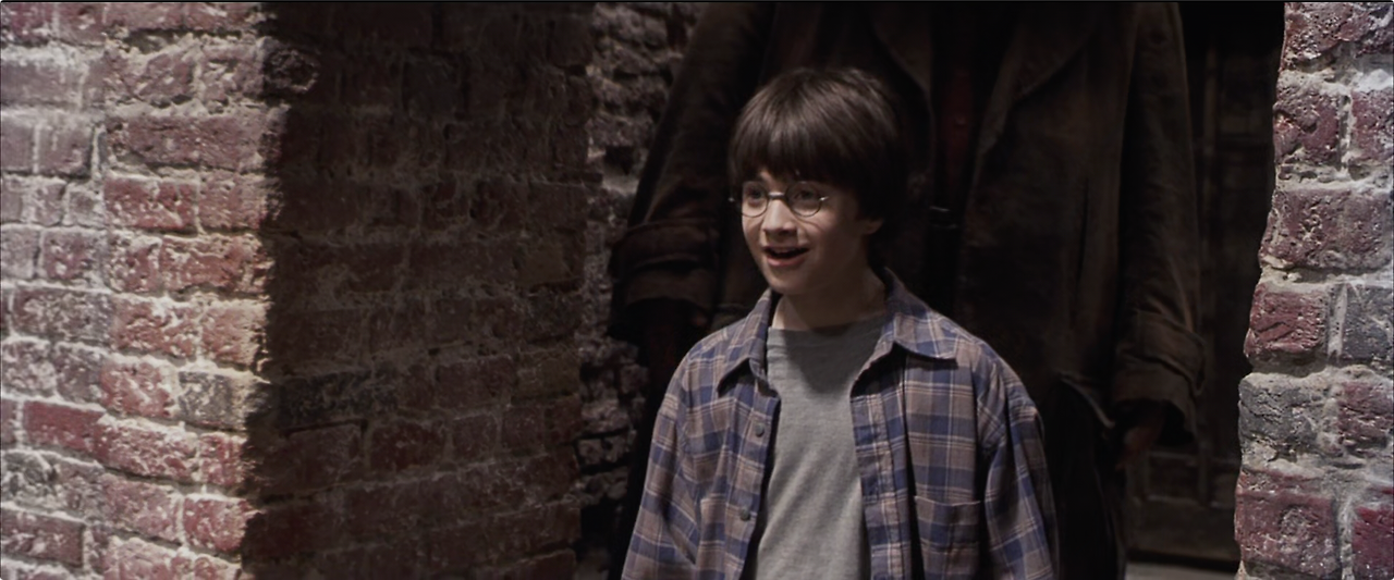 Harry.Potter.and.the.Sorcerer's.Stone.2001.1080p.10bit.BluRay.5.1.x265.HEVC-MZABI.mkv - 00.22.41.442.png