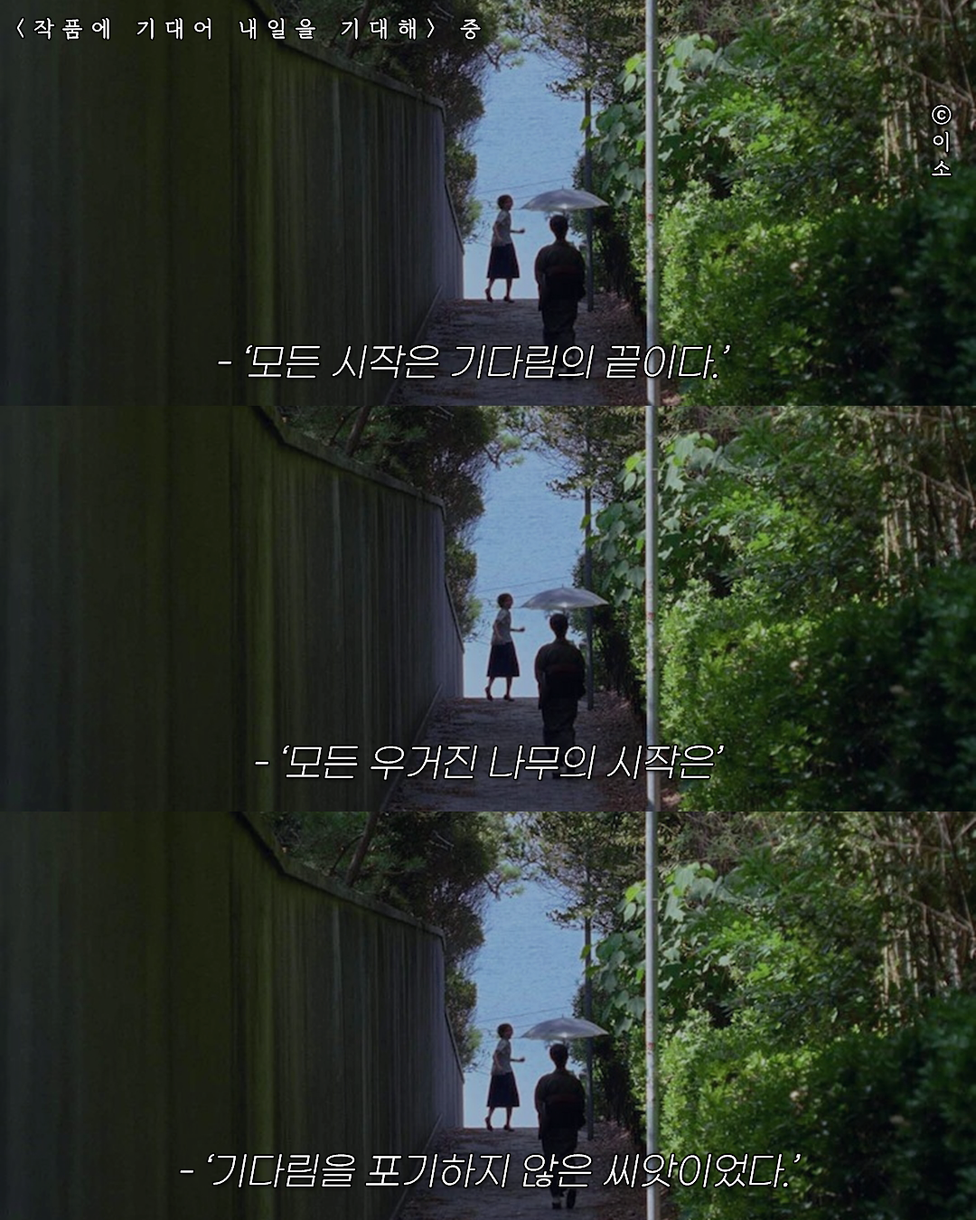 220511_작품에기대어_조금 괴로운 당신께 식물을 추천합니다_1080,1035_2.png