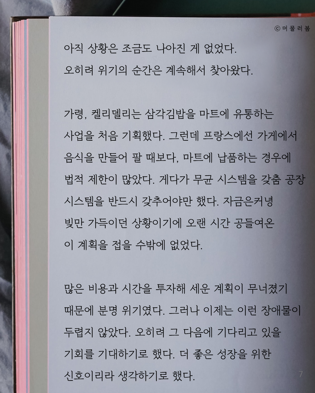 거듭된 악조건 속에서도 절망에 빠지지 않으려면_켈리최, 웰씽킹, 책추천, 위안, 동기부여, 용기_머봄_7.png